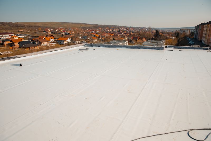 Roof Leak Detection Service detail